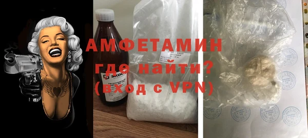 мет Алексин