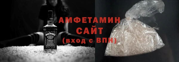 мет Алексин