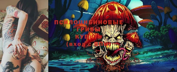 дмт Алексеевка