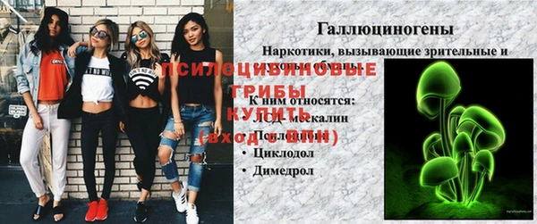 амф Алзамай