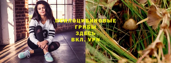 мет Алексин
