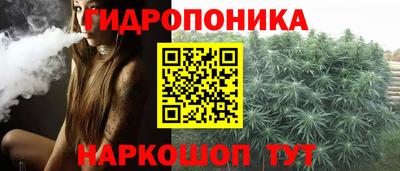 сатива Моздок
