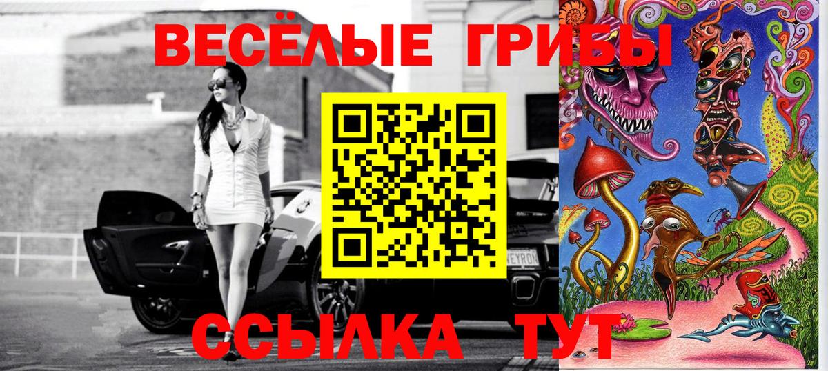 Галлюциногенные грибы Psilocybine cubensis  Галлюциногенные грибы прущие грибы  Вход с VPN  Ревда 